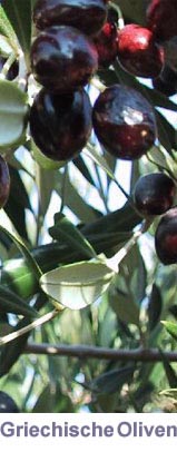 Greek Olives